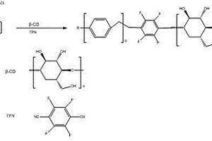 改性的氯甲基化聚苯乙烯多孔树脂的制备及其应用