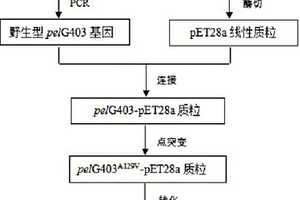果胶裂解酶突变体△PelG403及其编码基因、制备方法和应用