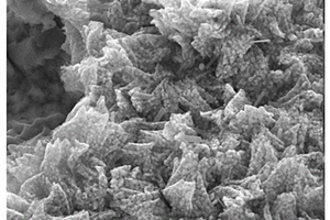 泡沫镍负载碳包埋零价铁阴极及制备与降解抗生素的方法