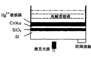 用于检测Hg2+的薄膜光寻址电位传感器及其制备方法