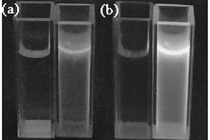 碳量子点荧光探针溶液及其制备方法和应用