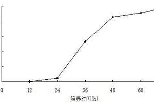 赤红球菌SD3的诱变菌M1的固定化细胞及其在降解苯酚污染物中的应用