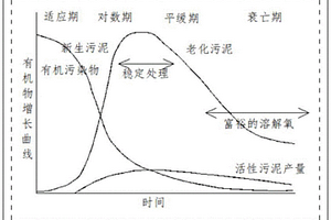 具有除氮脱磷的复合碳源的生产工艺