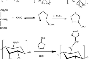 O-噻唑烷甲酯-N-三甲基壳聚糖季铵盐及制法与应用