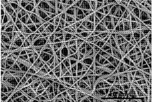 含有铁镍双金属纳米颗粒的复合纳米纤维毡的制备方法