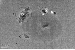 生物脱铬介质及其制备方法、生物脱铬方法