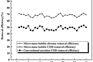 非均相臭氧催化与微纳米气泡联用的污水处理方法