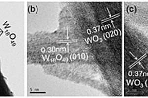 氧化钨同质结复合光催化剂及其制备方法和应用