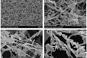 微纳米纤维素的绿色制备方法