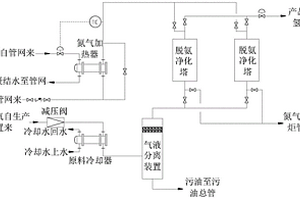 循环氢脱氨提纯系统及方法