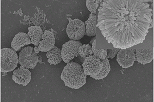 氧化锌基复合光催化纳米材料及其制备方法