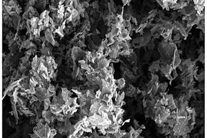 基于N,P-掺杂多孔碳材料的铀吸附剂及其制备方法