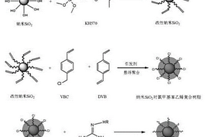 以纳米SiO2为内核的阴离子交换树脂及其制备方法