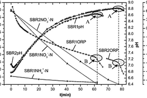 提前停止硝化进程的SBR深度脱氮在线控制方法