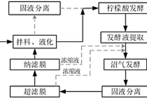 利用资源化厌氧消化液生产柠檬酸的方法