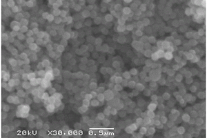 镉离子及其配合物吸附的磁性微球及其制备方法和应用与再生方法