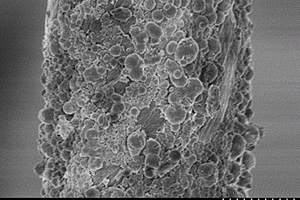 纤维素生物质基原位介孔复合材料的制备方法及应用
