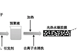 两性聚电解质光热水凝胶、其制备和应用