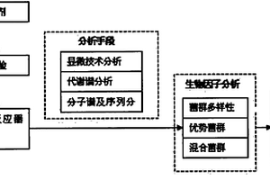 餐饮业排污管道中油脂的微生物降解处理方法