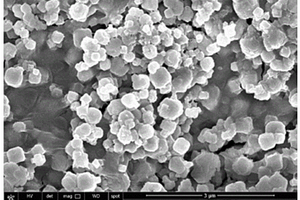 纳米沸石强化黄原胶复合水凝胶功能微球的制备及应用