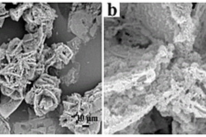 枯草芽孢杆菌诱导制备高比表面积多孔羟基磷灰石的方法