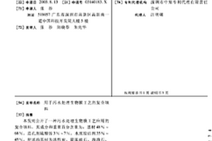 用于污水处理生物膜工艺的复合填料