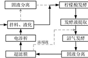 利用电渗析处理厌氧消化液来生产柠檬酸的方法