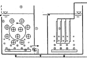 载体流化态平板膜生物反应器