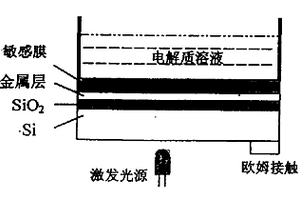 用于检测重金属离子的薄膜光寻址电位传感器