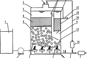 颗粒污泥一体化自养脱氮的装置