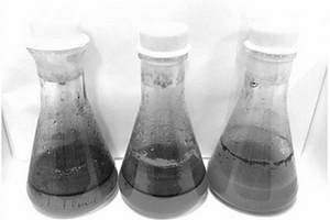 压裂返排液生物修复方法