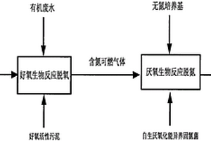 可燃气体脱氧、脱氮的生物处理方法