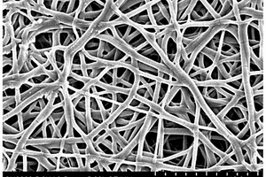 阳离子纳米纤维膜的制法及所得纳米纤维膜和应用
