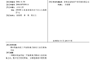 聚环氧氯丙烷二甲胺阳离子膨润土及其制备方法