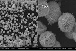 氮掺杂碳量子点修饰钨酸铋复合光催化剂及其制备方法和应用