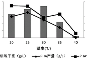 利用高效菌将餐厨废油合成PHA的工艺方法