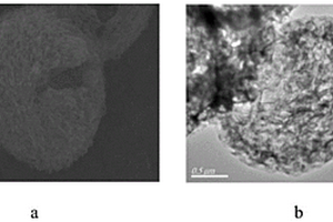 金属钴修饰三维多空炭氮烯复合纳米光催化剂、制备方法及其应用
