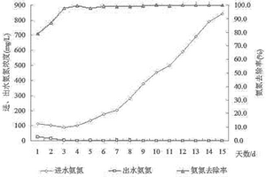 连续式的高浓度耐盐硝化细菌规模化培养方法