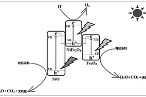 双Z型光催化剂NiO/NiFe<Sub>2</Sub>O<Sub>4</Sub>/Fe<Sub>2</Sub>O<Sub>3</Sub>及其应用
