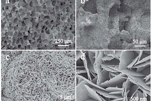 碳酸根型羟基磷灰石/壳聚糖三维多孔复合材料及制法