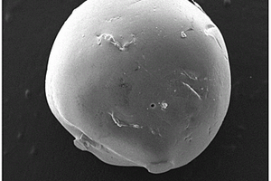 聚乙烯醇-壳聚糖磁性颗粒的制备与应用方法