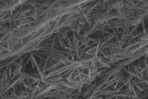 海藻酸盐/埃洛石纳米管复合多孔球及其制备方法