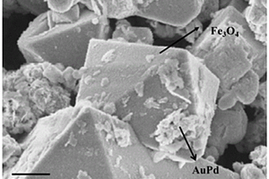 AuPd/Fe3O4原位电芬顿催化剂及其制备方法和应用