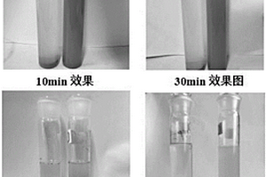 基于辣木籽蛋白的水体净化剂及其制备方法