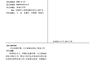 固定化微生物-人工湿地处理化工尾水工艺