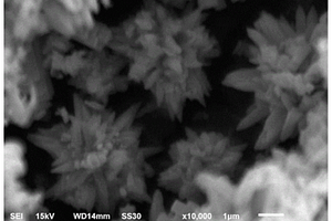 掺杂稀土金属Ce的花瓣状ZnO光催化剂及其制备方法