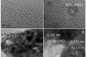 硫化钨量子点和贵金属纳米粒子共同修饰的溴氧铋复合材料的制备方法及应用