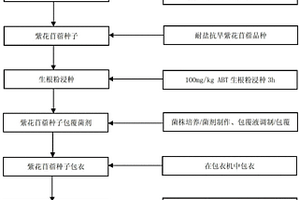 中重度碳酸盐盐碱地紫花苜蓿规模化种植方法