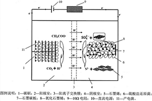 生物阴极还原生产石墨烯并去除硫酸盐的方法