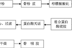 酶法制备骨明胶的方法